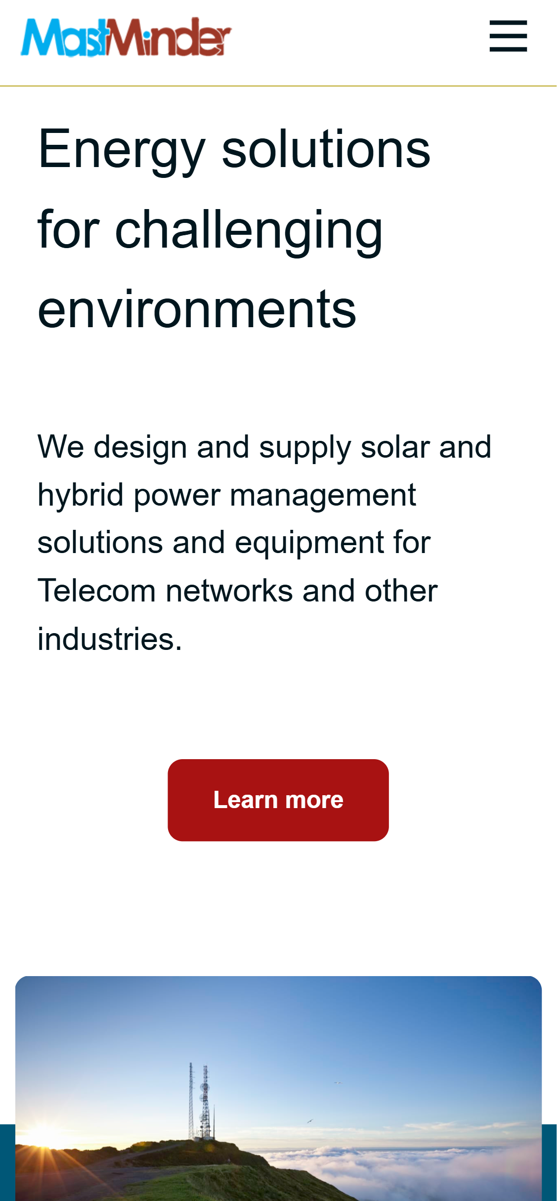 iPhone X screenshot of mastminder.com